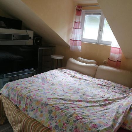 Wohlfuehloase - Zimmer, Appartment - Im Herzen Starnbergs Quarto foto